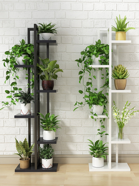 Saksıdaki Çiçek Bakımı