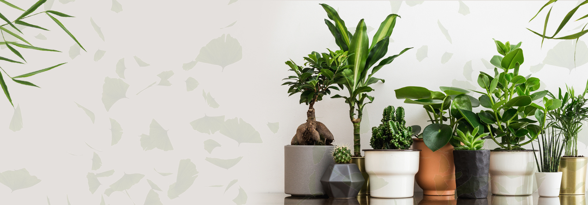 Spesiyal Ürünümüz