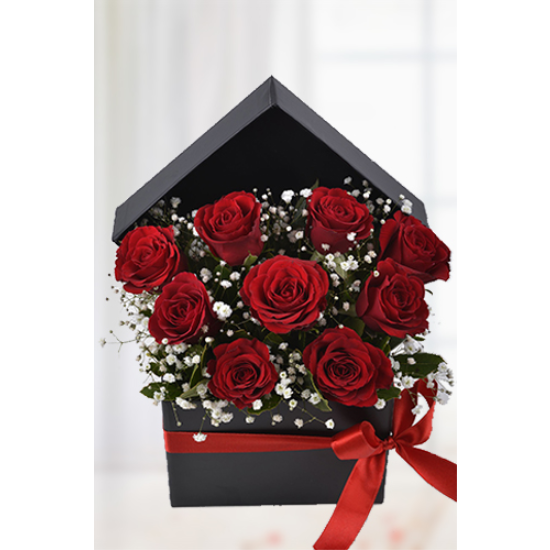 Schefflera (Şeflera) Bitkisi