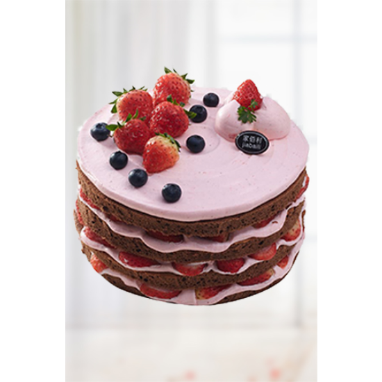 Phalaenopsis Orkide Çiçeği