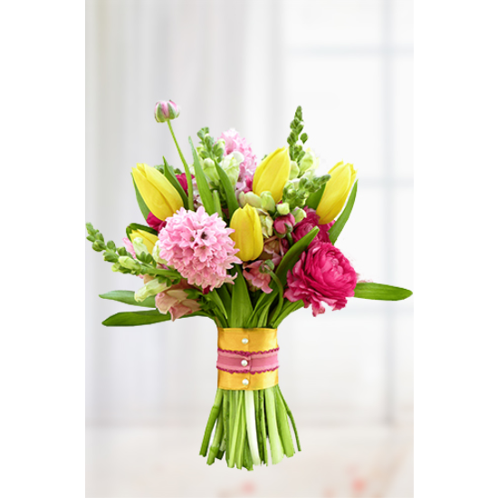 3 Dal Phalaenopsis Orkide